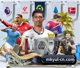 mk体育 APP